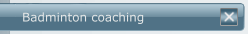 Badminton coaching